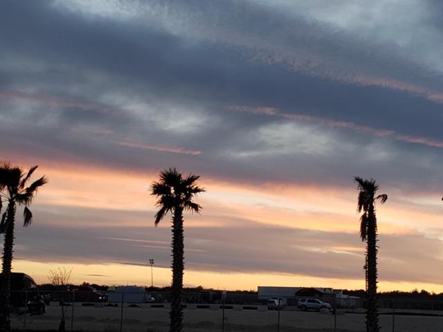Rivercity Rv Park New Braunfels Exterior foto